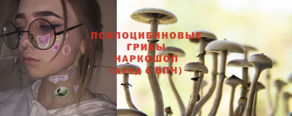 шишки Горняк