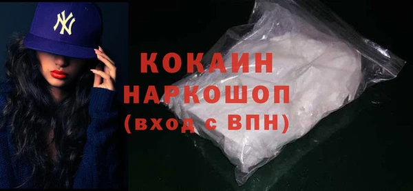 шишки Горняк