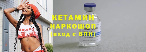 шишки Горняк