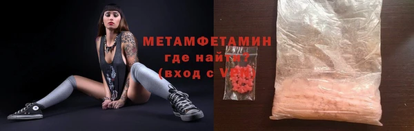 шишки Горняк