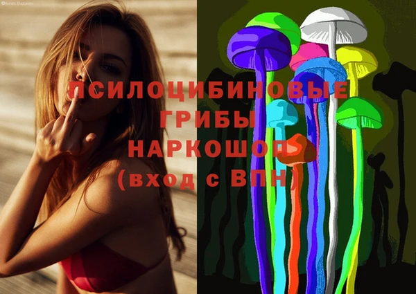 соль ск Горно-Алтайск