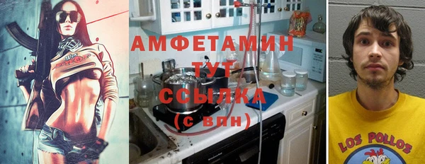шишки Горняк