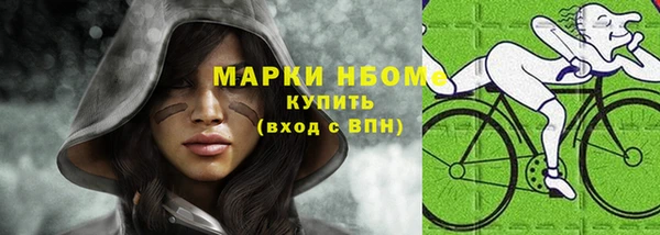 шишки Горняк