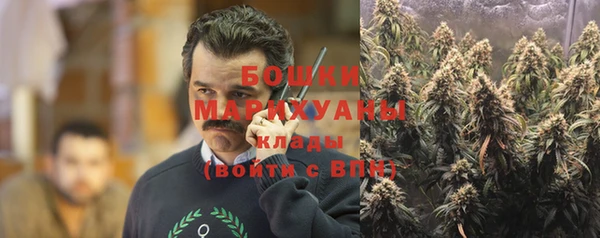 шишки Горняк